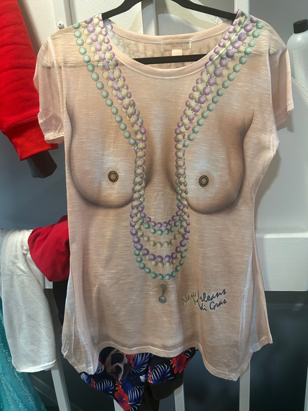 Sheer Nude Graphic Necklace Print Tunic Top